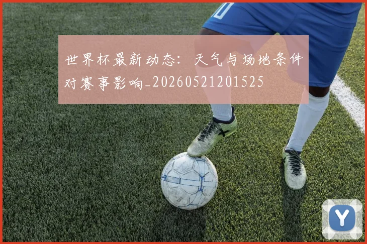世界杯最新动态：天气与场地条件对赛事影响_20260521201525