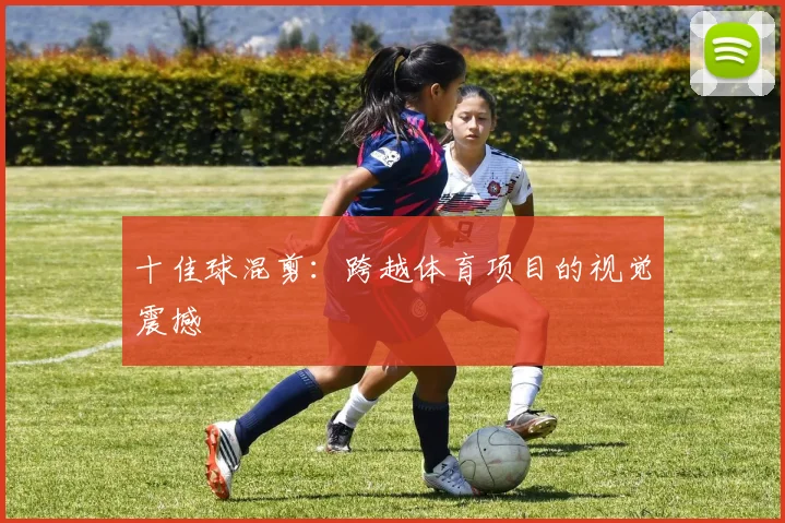 十佳球混剪:跨越体育项目的视觉震撼