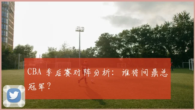 CBA 季后赛对阵分析:谁将问鼎总冠军?