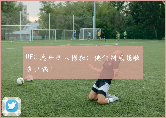 UFC 选手收入揭秘：他们到底能赚多少钱？