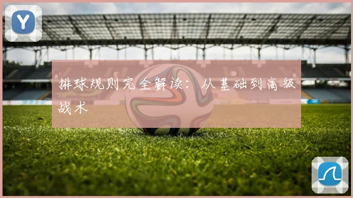 排球规则完全解读:从基础到高级战术