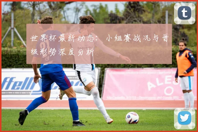 世界杯最新动态：小组赛战况与晋级形势深度分析
